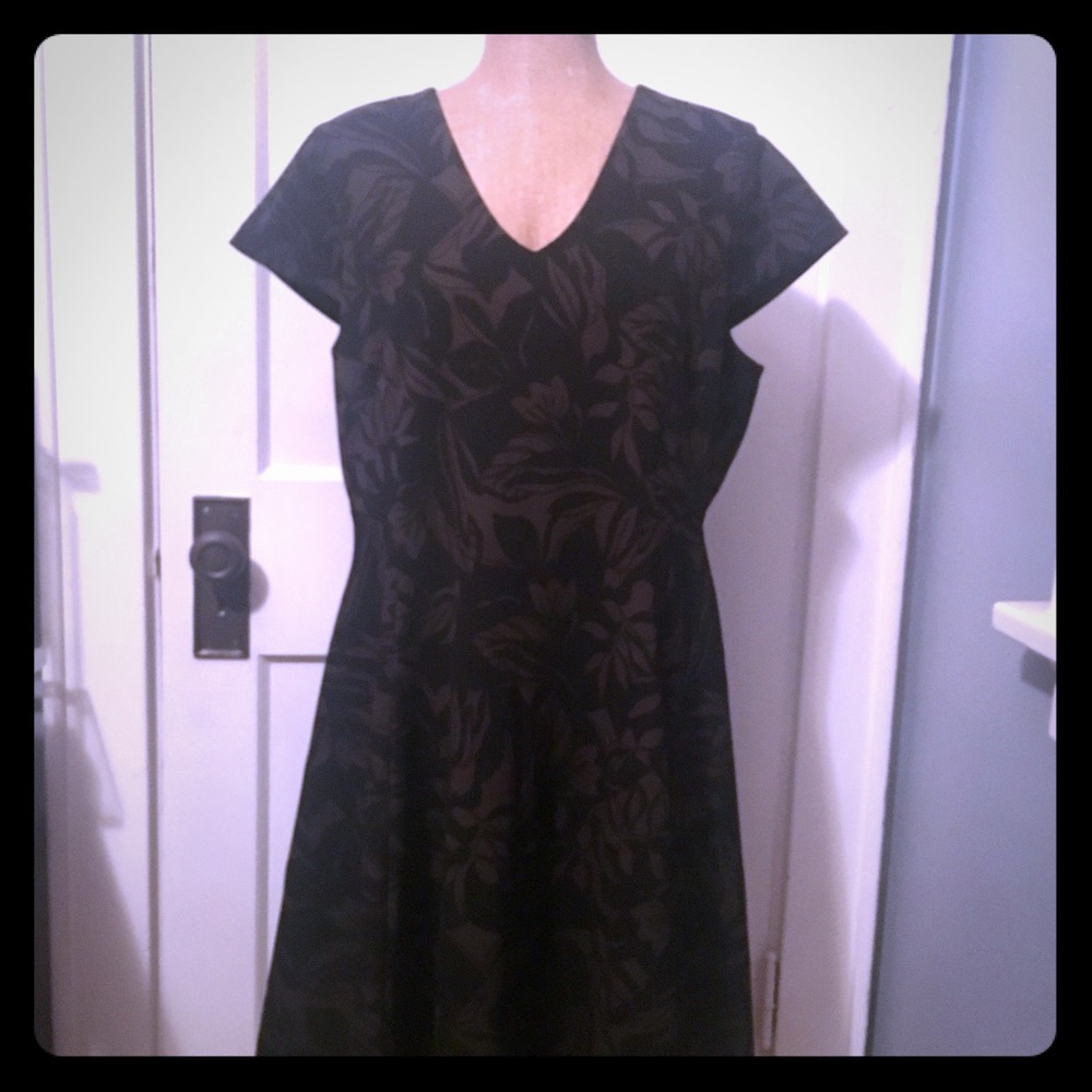 NWOT Black and Olive Dress